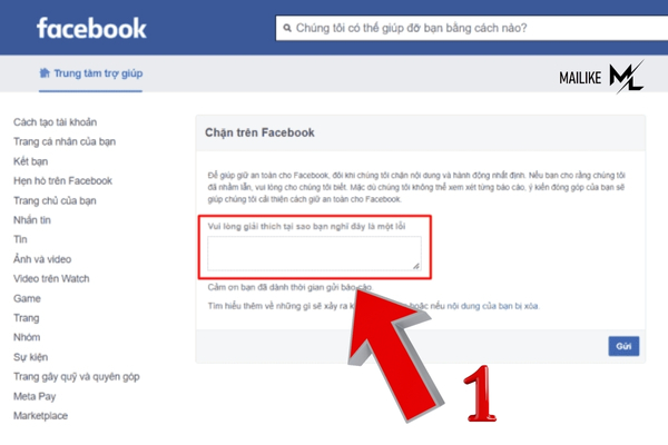 Cách mở khóa khi bị chặn like facebook bằng việc nhập thông tin lỗi
