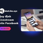 quydinhlivefb