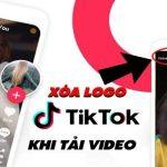 cách lấy video tiktok không logo