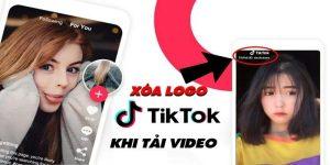 cách lấy video tiktok không logo