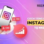 10+ Cách tăng follow Instagram tự nhiên bạn đã biết chưa?