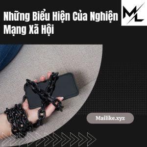 nhung bieu hien cua nghien mang xa hoi dung chu quan 3