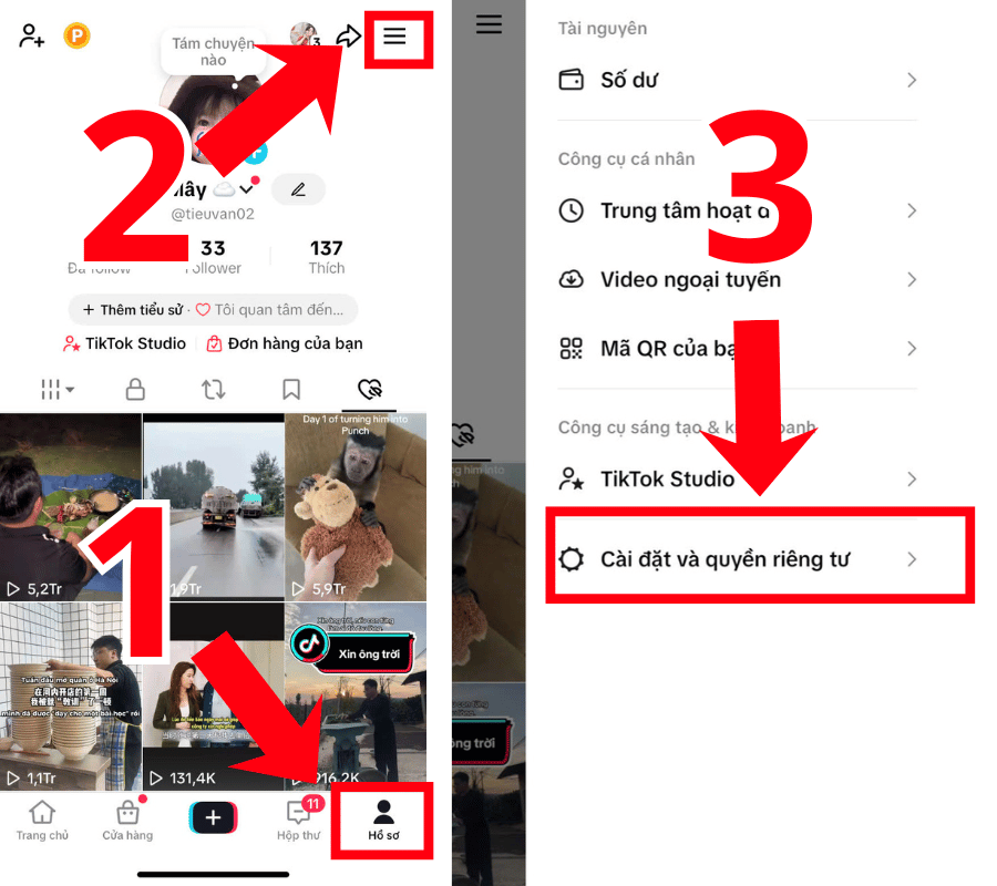 Xem đơn hàng TikTok ở Hồ sơ