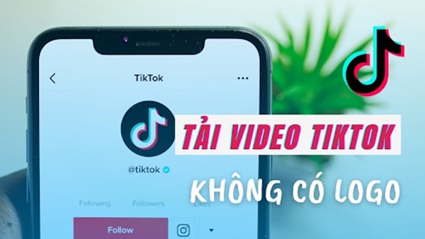 Để tải video TikTok không có logo, ứng dụng DTikTok là một trong những lựa chọn hàng đầu