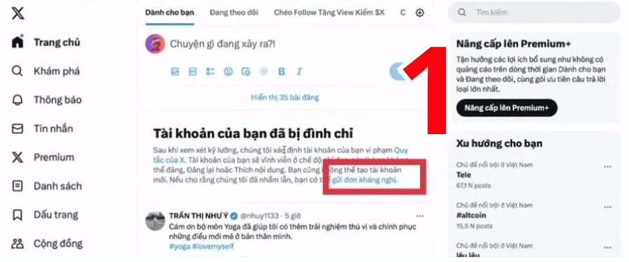 Gửi đơn kháng nghị cho Twitter