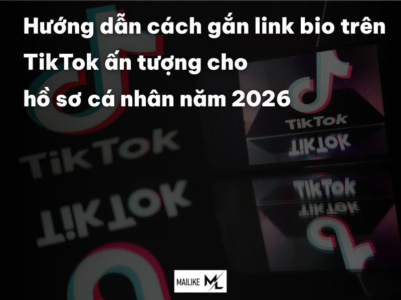 Hướng dẫn cách gắn link bio trên TikTok ấn tượng cho hồ sơ cá nhân năm 2026