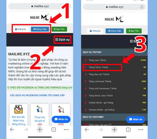Đăng nhập Mailike, chọn Tăng Follow Tiktok