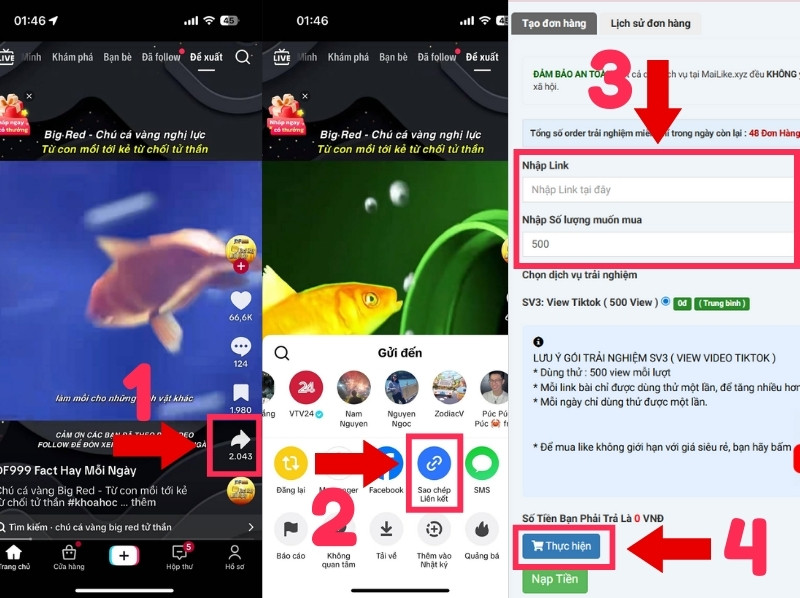 Cách tăng view video Tiktok miễn phí trên điện thoại