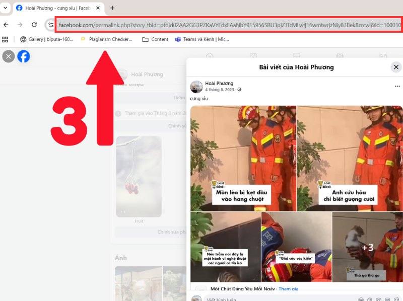 Sao chép đường link