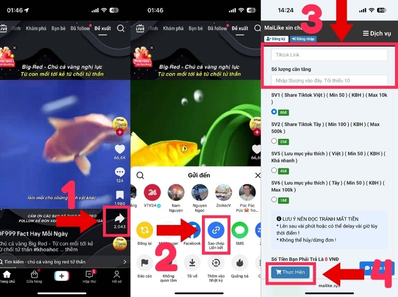 Cách sử dụng dịch vụ tăng share video Tiktok miễn phí của Mailike