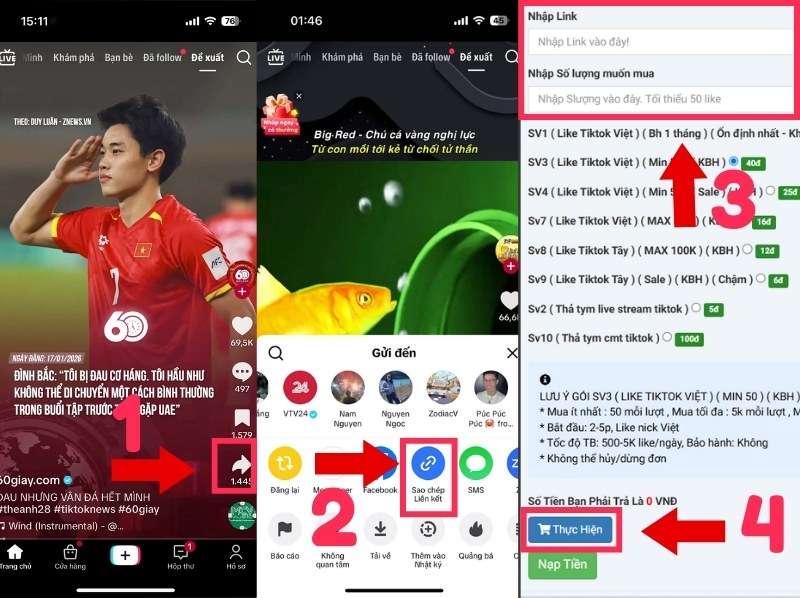 Cách sử dụng dịch vụ tăng tim video Tiktok miễn phí với Mailike