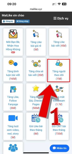 Chọn đúng mục tăng người theo dõi trên Facebook cá nhân