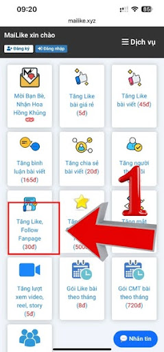 Tại mục này hãy chọn dịch vụ “Tăng like follow fanpage”