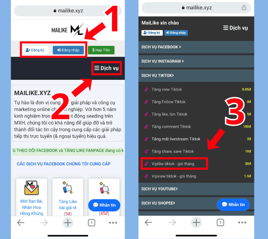 Nhấn Viplike TikTok - gói tháng tại Dịch vụ TikTok