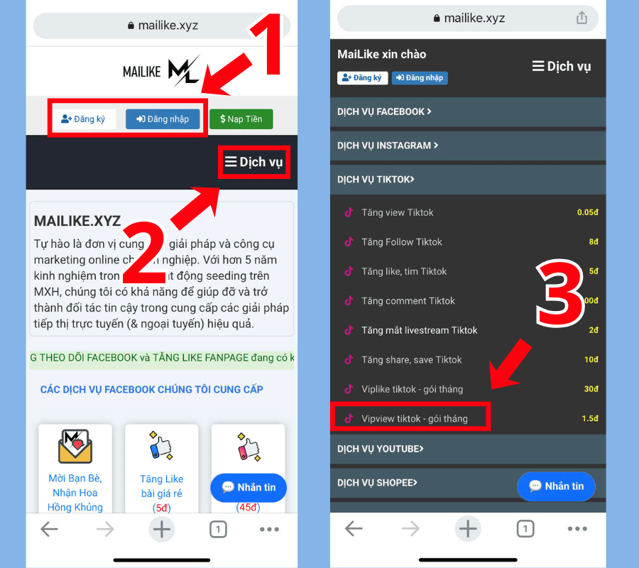 Nhấn Vipview TikTok - gói tháng tại Dịch vụ TikTok