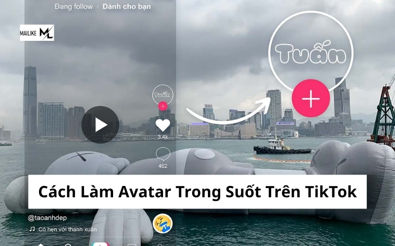 cách làm avatar trong suốt trên TikTok