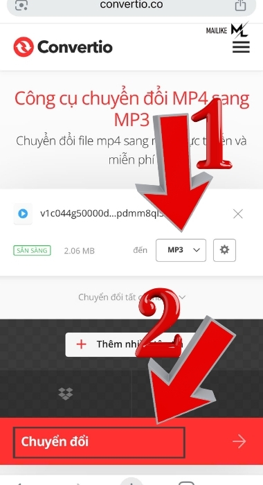 Chọn tệp muốn tải xuống MP3 và ấn Chuyển đổi