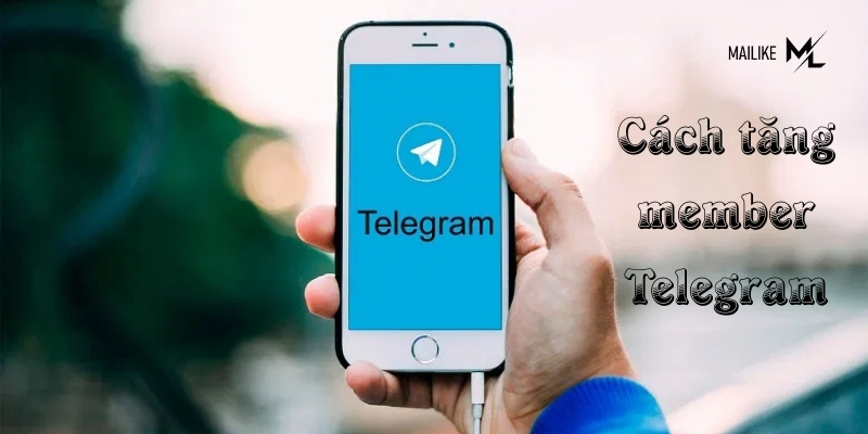 Cách tăng member Telegram miễn phí, hiệu quả nhất là kết hợp nội dung chất lượng