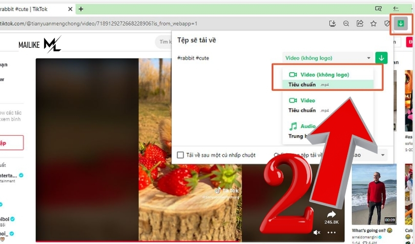 Hoàn thành xong cách tải video TikTok khi không có nút lưu trên máy tính
