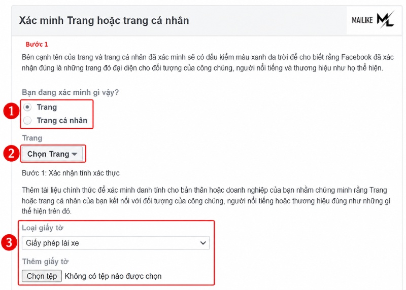 Xác minh trang và tải giấy tờ cần thiết lên 