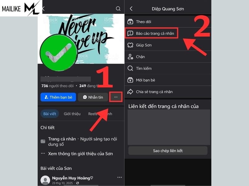 Báo cáo tài khoản mạo danh trên Facebook