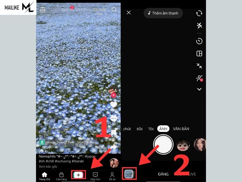 Cách khôi phục video TikTok đã xóa