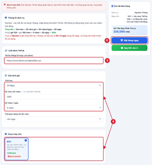 Nhập link kênh TikTok và cấu hình gói view tháng tại Mailike