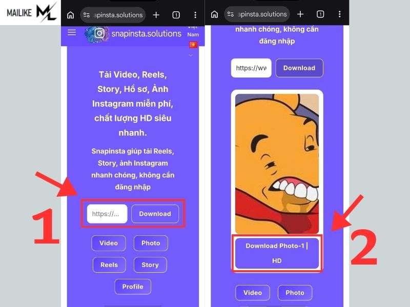 Tải ảnh đại diện từ Instagram